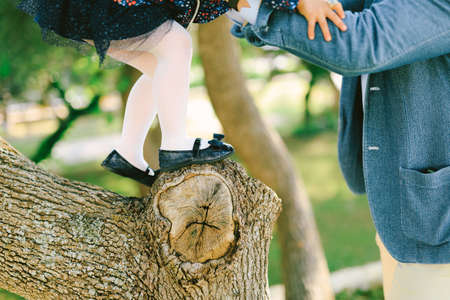 Dad helps his little daughter get off the tree in the park. Close-upの写真素材