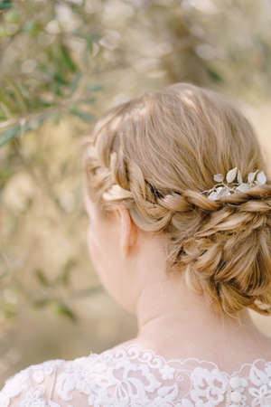 Bride hairstyle with braided braids. Back view