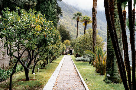 Pebble path in a green alley near Villa Monastero. Como, Italy