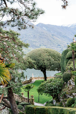 Holm oak on a green lawn among the trees against the backdrop of Lake Como. Villa Balbianello, Italyの写真素材