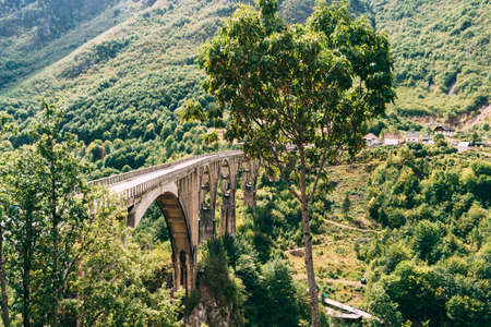 Picturesque Djurdjevic Bridge among the greenery. Montenegro