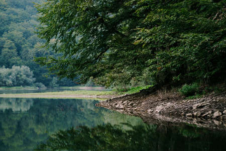Deciduous trees by the lake in the Biogradska Gora park. Montenegroの写真素材