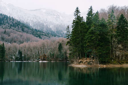 Lake against the background of forest and mountains in the park Biogradska Gora. Montenegro