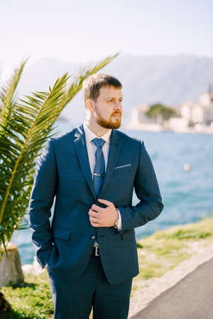 Man in a suit stands near a palm tree on an asphalt road on the coast of the bayの写真素材