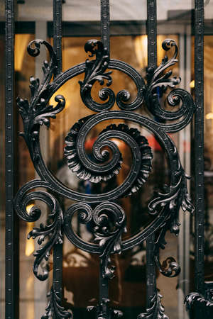 Fragment of floral ornament of a wrought-iron fence