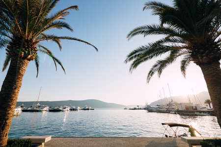 View from the coast to the marina in the resort of Porto. Montenegroの写真素材