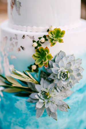 Tier of wedding blue and white cake decorated with green succulentsの写真素材