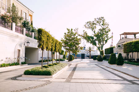 Cobbled street with green bushes and trees in the resort of Porto. Montenegroの写真素材