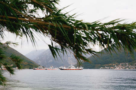 View through green branches on ships sailing on the sea against the background of mountains