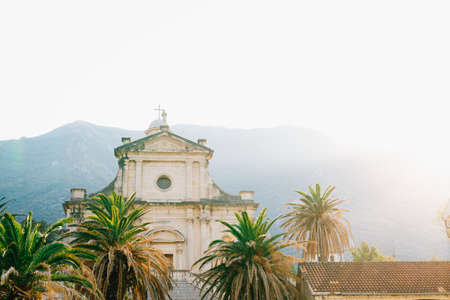 Green palms near the Church of the Nativity of the Virgin in Prcanjの写真素材