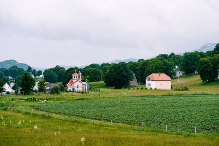 Houses and a church in a valley in northern Montenegroの写真素材
