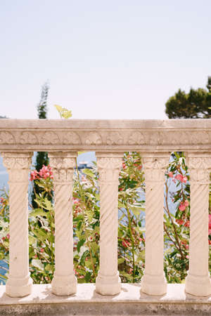 Carved stone balustrade with patterns against the background of flowering trees in the garden