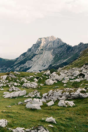Gray boulders lie in a green mountain valley