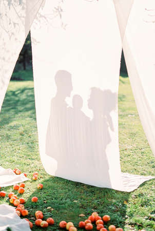 Shadows on the white curtain of a woman next to a man with a childの写真素材