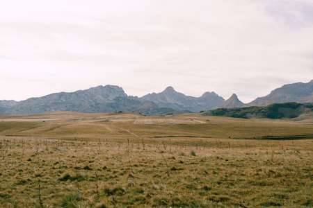 Dry grass in a valley with mountains in the background on the Saddle Passの写真素材