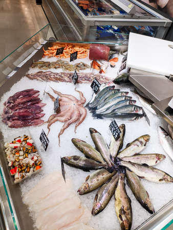Squids, sea bass, shrimps, salmon lie in ice on the counterの写真素材