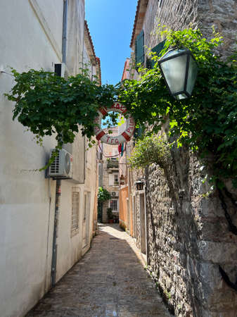 Narrow street of an ancient city with walls covered with green ivyの写真素材