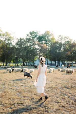 Girl in a straw hat walks across a lawn with grazing sheep. Back viewの写真素材