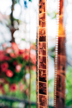 Budva, Montenegro - 21 august 2020: Film roll 35mm outside drying on a green background. Photo films were used for analogue photography.のeditorial素材