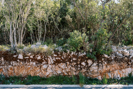 Colorful stone fence in green parkの写真素材