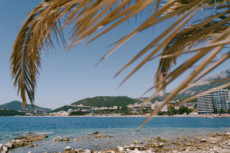 View through palm branches on the resort coast of the town at the foot of the mountain rangeの写真素材