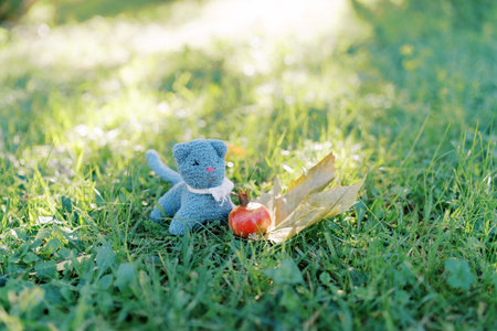 Blue toy cat stands on green grass next to a ripe red pomegranateの写真素材