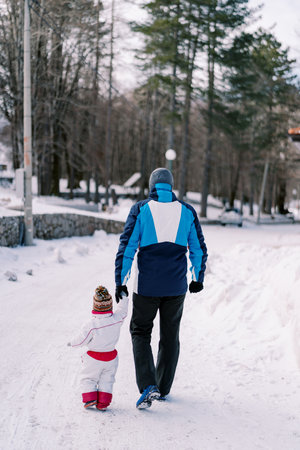 Dad with a little girl walks along a snowy road in the park, holding hands. Back viewの写真素材