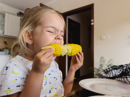 Little girl eating corn on the cob sitting at the table in the kitchenの写真素材