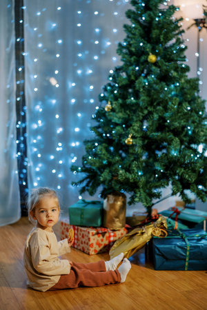 Little girl with a piece of orange sits near the Christmas tree with giftsの写真素材