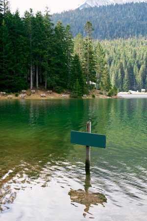 Empty sign stands in the lake against the backdrop of a shore covered with spruce forestの写真素材