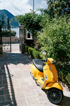 Yellow motor scooter stands near a green bush in the yardの写真素材