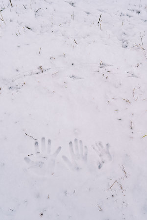 Handprints of dad, mom and little child on the snow