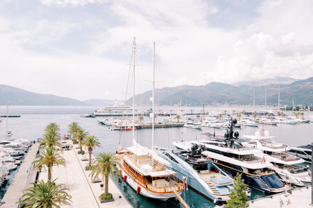 Luxury sailing and motor yachts line the palm-lined piers of the luxury marina