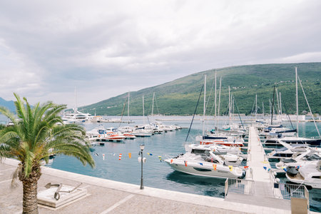 Yachts stand in rows along the piers of a luxurious marina against the backdrop of green mountainsの写真素材
