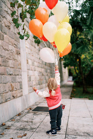 Little girl with a bunch of balloons stands against the wall in the garden and looks up. Back viewの写真素材