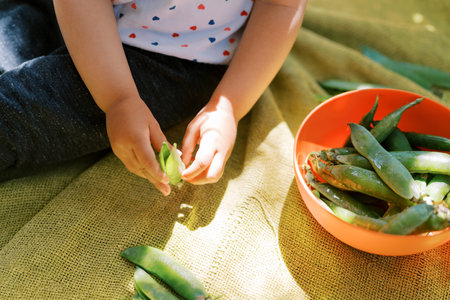 Little girl peels green beans on a blanket. Cropped. Facelessの写真素材