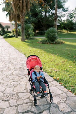 Little smiling girl sits in a stroller on a path in a green parkの写真素材
