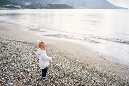 Little girl with a flower in her hand stands on a pebble beach and looks awayの写真素材