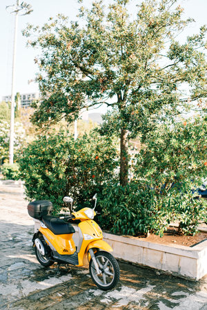 Yellow moped is parked near a stone flowerbed with a green treeの写真素材