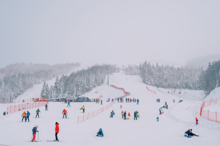 Tourists in colorful ski suits ski along the Kolasin 1600 ski slope. Montenegro