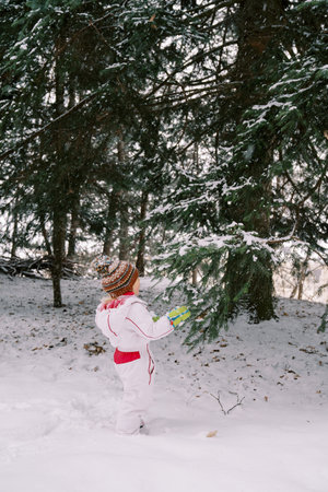 Little girl stands by a snow-covered fir tree and looks at it. Back viewの写真素材