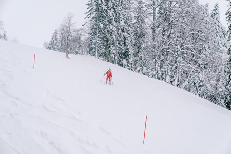 Skiers go down the ski slope with red postsの写真素材