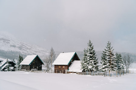 Snow-covered village surrounded by fir trees in a mountain valley under snowfall