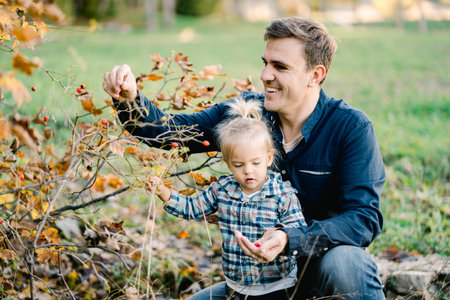 Dad and little daughter picking red rose hips from a bush in the forest