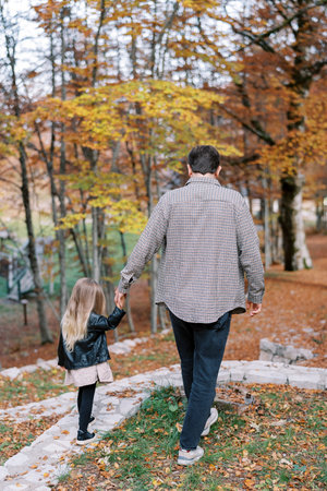 Little girl walks along a paved path in the autumn forest, holding her dad hand. Back viewの写真素材