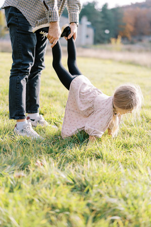 Dad holds the legs of a little girl walking on her hands along the green lawn. Croppedの写真素材
