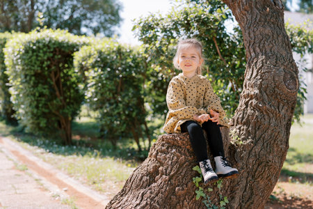 Little smiling girl sitting on a tree trunk in a sunny parkの写真素材