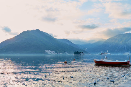 Flock of seagulls sways on the waves near the pier next to a moored fishing boatの写真素材