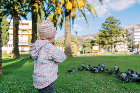 Little girl stands near a palm tree and looks at pigeons walking on the grass. Back viewの写真素材