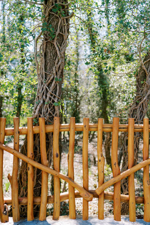 Low wooden rustic fence in the parkの写真素材
